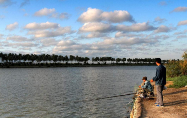 都說秋季要釣邊，可“秋釣邊”真正含義您未必知曉，這幾點莫忽視