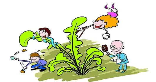 農村常見的野菜，如今翻身都成寶貝啦！你吃過幾種？