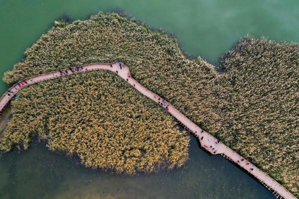 什麼是額濟納 什麼是額濟納