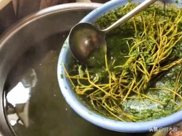 以下這些植物竟然是製作涼粉的原料?快來看看你認識多少種 以下這些植物竟然是製作涼粉的原料?快來看看你認識多少種