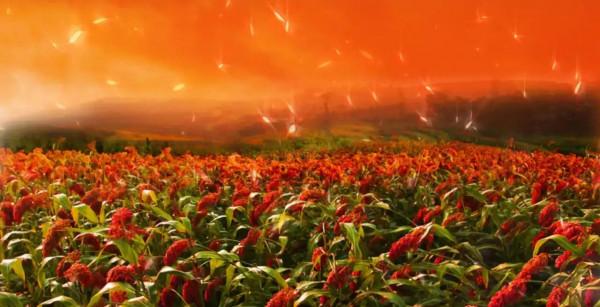 國慶當天,隨禮近8000元,親臨現場5家,還有來氣的,過節好累 國慶當天,隨禮近8000元,親臨現場5家,還有來氣的,過節好累