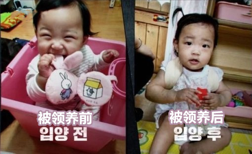 2020年,韓國女童被領養271天后被養父母虐殺,屍檢結果不忍細看 2020年,韓國女童被領養271天后被養父母虐殺,屍檢結果不忍細看