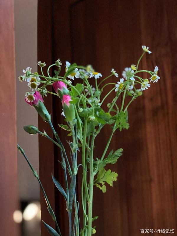 購買的鮮切花，如何簡單養護就能開得又好又久