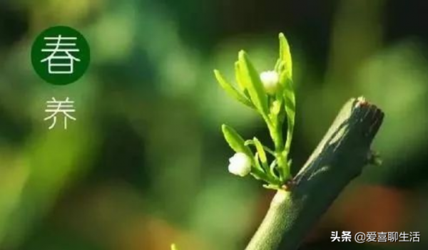 入春後“少食2味，多吃6甘”，應季而食營養足，平安度過冬春交替