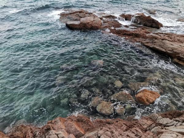 這麼好玩的地方怎麼才發現？