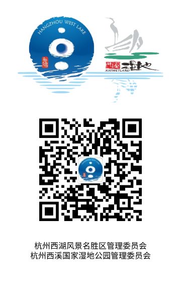 梅花幽幽而開，清香自可入詩！這些有顏、有趣、有心的西溪文創&comma;等你來種草&excl;