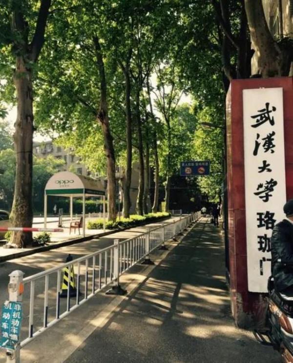 震旦宋庚一已被開除，武大難辭其咎？網友：咎由自取，不值得同情