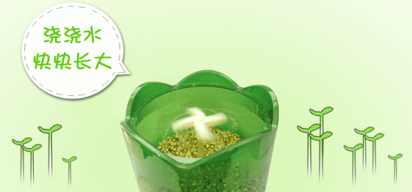 被網紅“過度吹捧”的6件家居用品,其實並不實用,花錢買教訓 被網紅“過度吹捧”的6件家居用品,其實並不實用,花錢買教訓