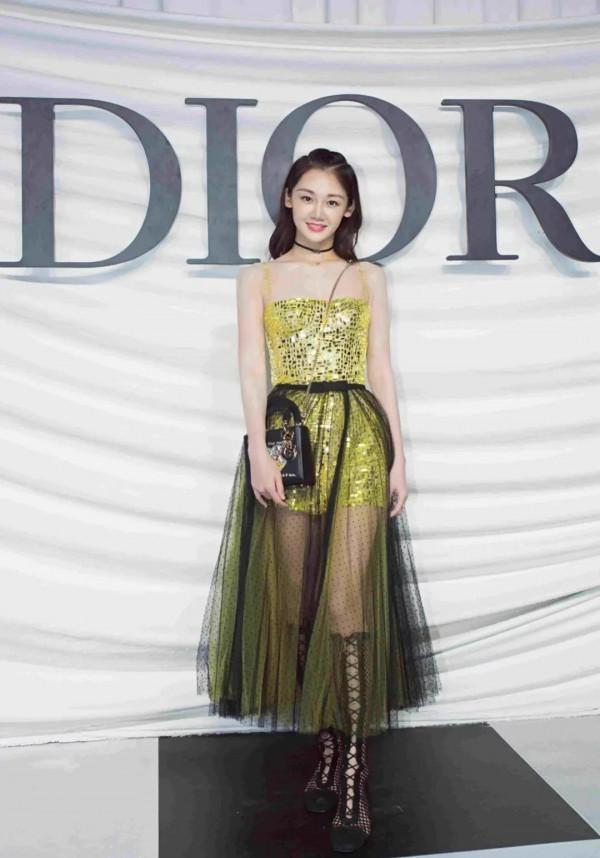 小獵豹鄭凱撿到寶了,苗苗氣質出眾 小獵豹鄭凱撿到寶了,苗苗氣質出眾