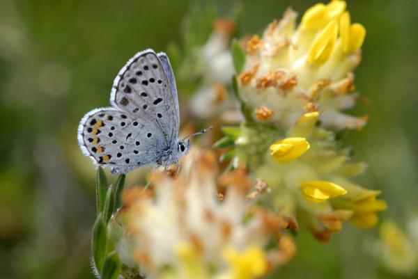 58歲阿姨拒絕退休大爺的追求:我有孩子有房子,幹嘛要去伺候人 58歲阿姨拒絕退休大爺的追求:我有孩子有房子,幹嘛要去伺候人