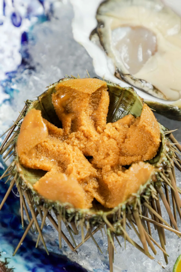 裡水有家食材劍指Omakase的日料店!人均60+嘆極致日料 裡水有家食材劍指Omakase的日料店!人均60+嘆極致日料