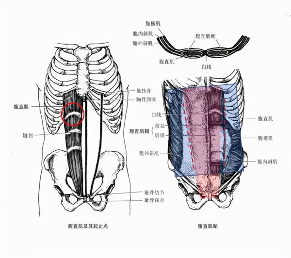 舒暢,你的臉還要嗎? 舒暢,你的臉還要嗎?