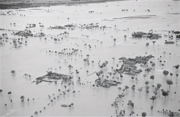 這是抗戰出兵最多、犧牲最大的三個省,再看看你所在的省排第幾? 這是抗戰出兵最多、犧牲最大的三個省,再看看你所在的省排第幾?