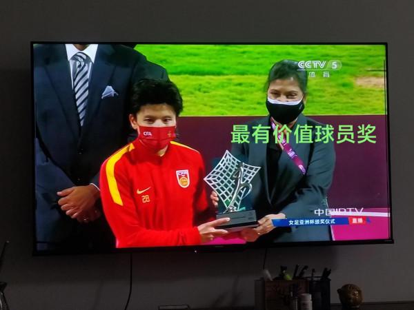 鏗鏘玫瑰 頑強綻放