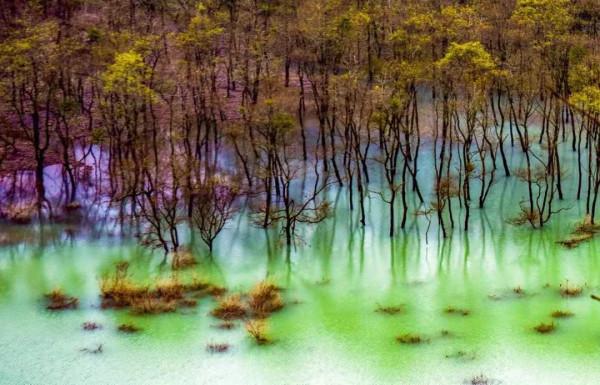 湖北鬱江：樹木與河水相映成趣