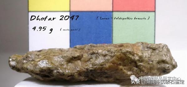 注意:這類石頭可能是月球隕石 注意:這類石頭可能是月球隕石