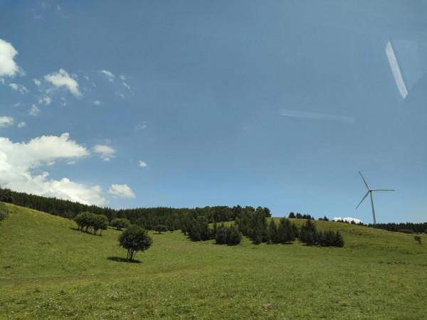 常梳頭固發防脫