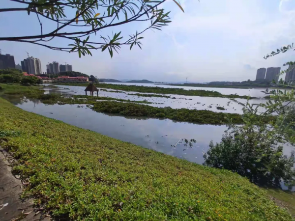 防城港一日遊：我和大劉酸了，想在這邊買房