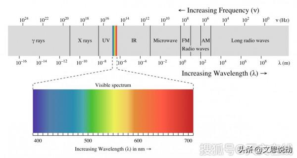王東嶽144.真有算卦算得準的大仙兒嗎？