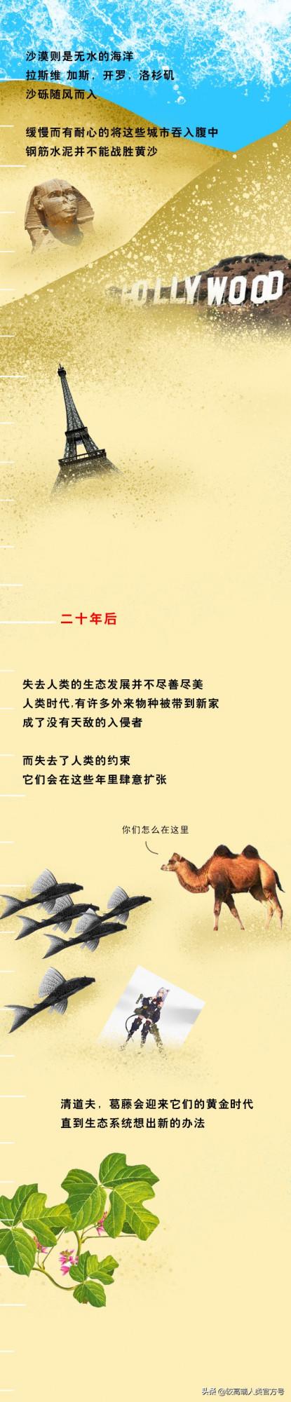 人類突然消失之後,世界會變成什麼樣子? 人類突然消失之後,世界會變成什麼樣子?