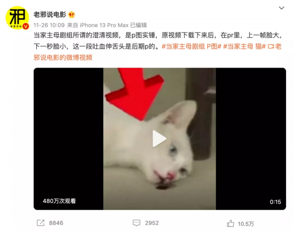 熱播新劇被疑虐殺動物，遭全網抵制：這世間，真的有因果報應