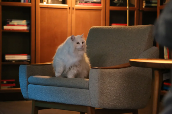 幹飽飯，才有力氣營業