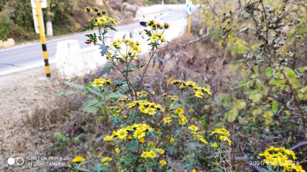 北京的秋天還是很壯觀的