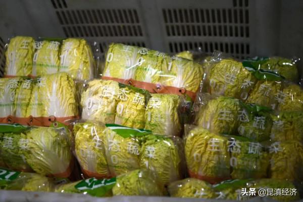 新徵程③ |“綠”品牌樹起來