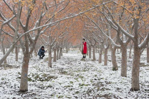 讓人直呼“哇噻”,房山這兩地的雪景大片,你一定得看看 讓人直呼“哇噻”,房山這兩地的雪景大片,你一定得看看