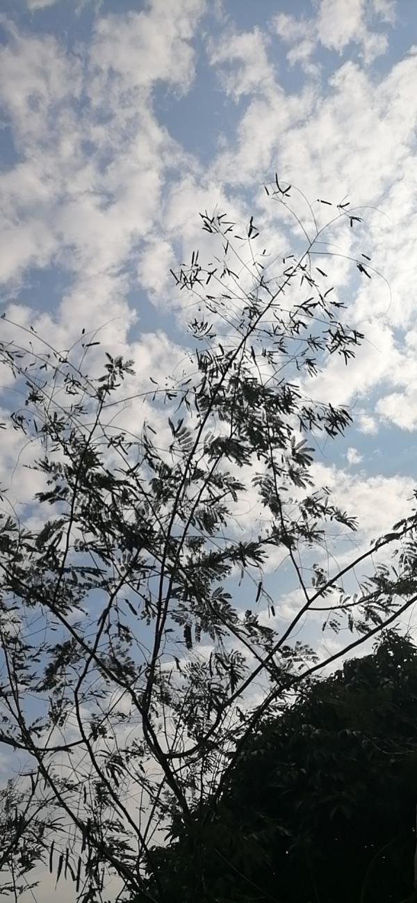 雲彩下的山城系列（九）