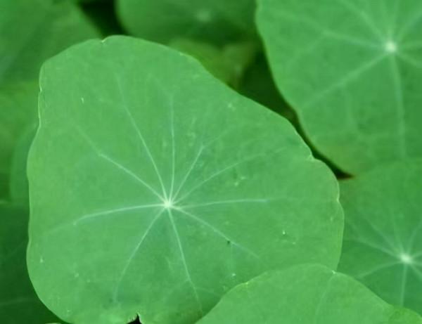 人生感悟：對自己越狠，越幸運