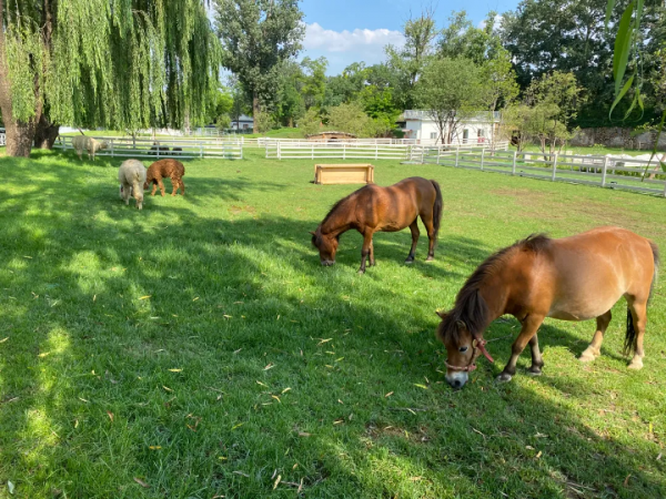驚豔！海淀這個藝術園區繁花似海，還有戶外音樂營地、親子牧場......滿滿文藝範兒！