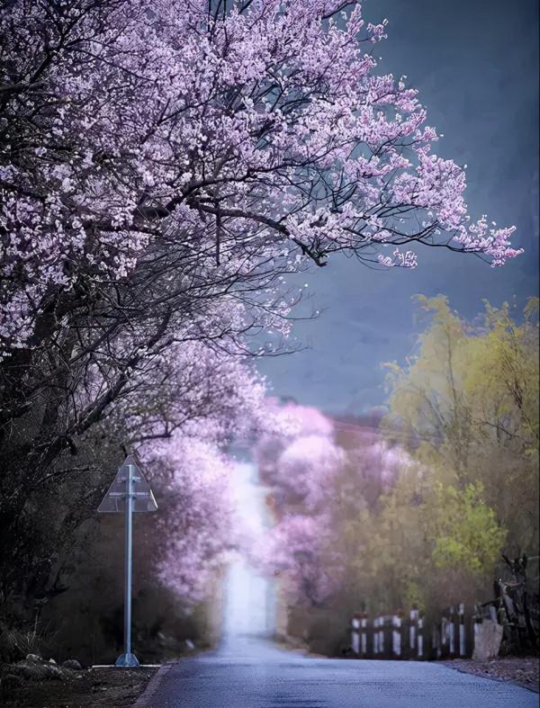 旅行是對自己最好的投資！這20個旅行地的秘密，只有去了才知道