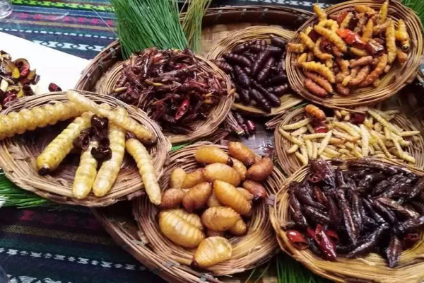 挑戰雲南美食，舌尖上的蟲子