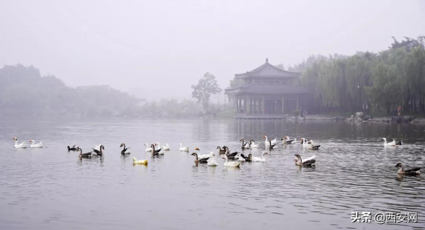 秋季必去盤點,這裡竟然高達五星 秋季必去盤點,這裡竟然高達五星