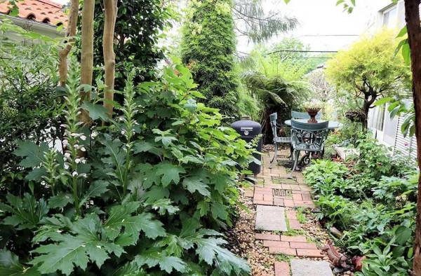 老人改造一個25年的70平米老花園,網友:幸福美滿的退休生活 老人改造一個25年的70平米老花園,網友:幸福美滿的退休生活