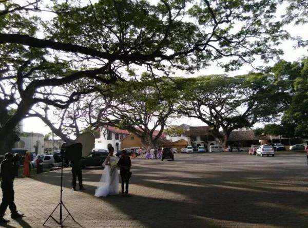 斯里蘭卡--回味無窮的青橄欖