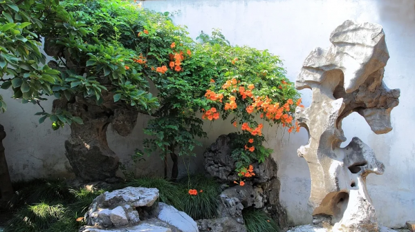 星聯攬月灣 | 深秋裡的湖居洋房生活 星聯攬月灣 | 深秋裡的湖居洋房生活