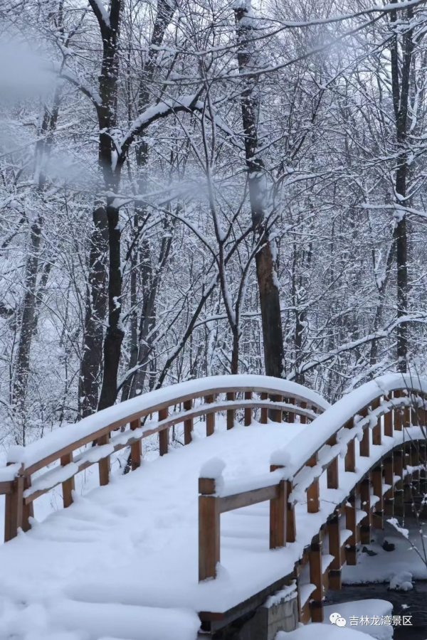 這樣的吊水壺，你愛了吧