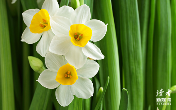 情商低的人，總愛跟人開這4種玩笑，希望你沒有