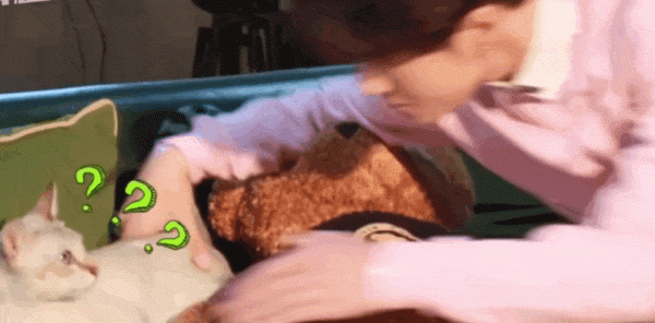 男明星的溫柔與寵溺都給了萌寵,好羨慕 男明星的溫柔與寵溺都給了萌寵,好羨慕