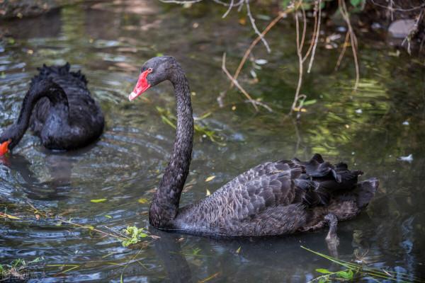 北京最大公園南海子，去了還想去的地方