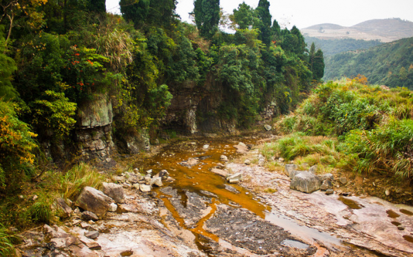 藏在浙江山澗處，有個世外桃源，滿眼夢幻紅杉林，並且鮮為人識