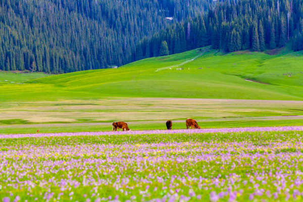 這些小眾旅行地，我每個都想去。你呢？