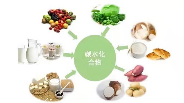 多吃主食死得快？米飯是&OpenCurlyDoubleQuote;垃圾主食&rdquo;？是打臉營養師還是你被誤導