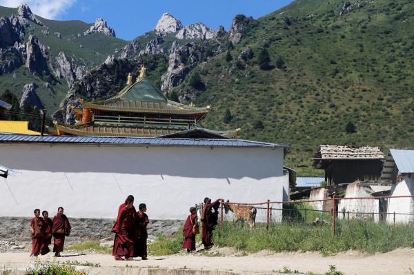 今天來到大宗山郎公寺