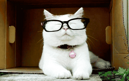 你的眼睛是左撇子or右撇子?一個動作測出“主副眼” 你的眼睛是左撇子or右撇子?一個動作測出“主副眼”