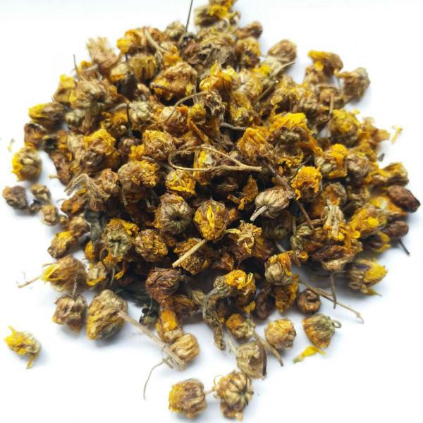 每日中藥——野菊花 每日中藥——野菊花