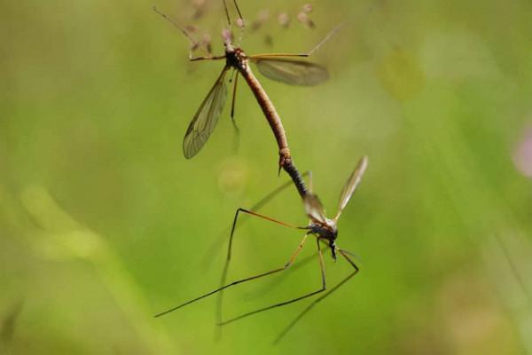 冷知識:原來人一生拉的便便可以這麼重 冷知識:原來人一生拉的便便可以這麼重