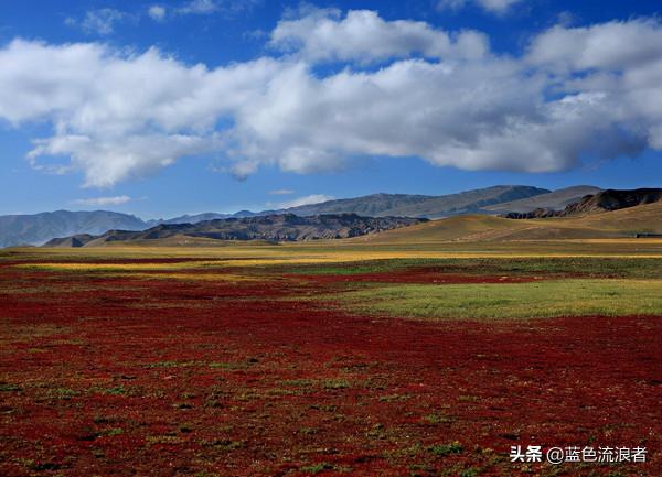 青海有個縣,年平均氣溫-4.1℃,避暑的人說冷得“穿棉襖” 青海有個縣,年平均氣溫-4.1℃,避暑的人說冷得“穿棉襖”